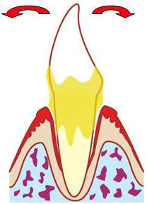 ���̓��h�x